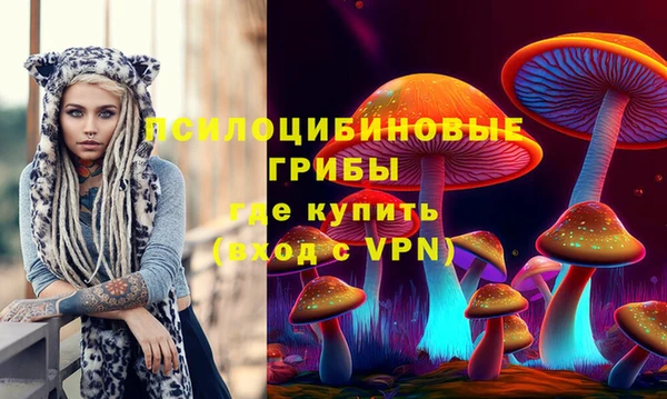mdpv Елизово