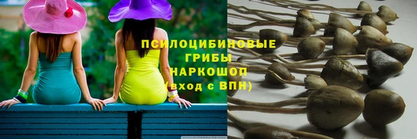 МДМА Ельня