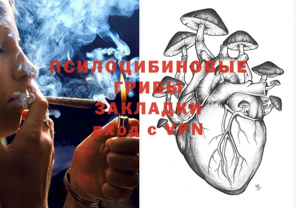МДМА Ельня