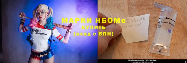 стаф Елабуга