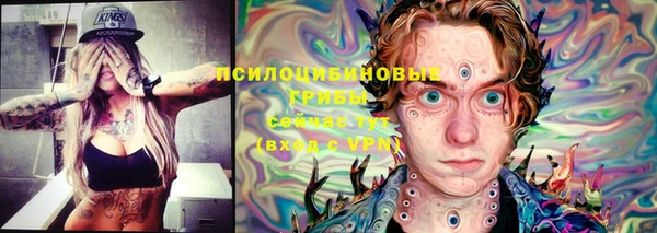 МДМА Ельня