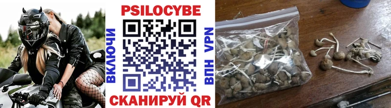 Купить закладки Данилов Галлюциногенные грибы прущие грибы